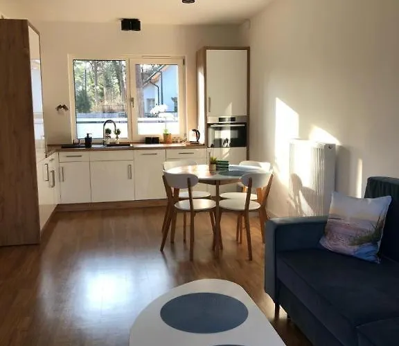 Nad Liwka Apartment *