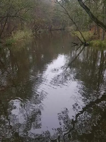 Nad Liwka Apartment Niechorze